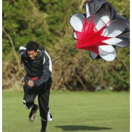 Parachute de retenue